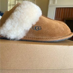 Ugg Slippers “Scuffette”